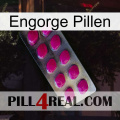 Engorge Pills 09